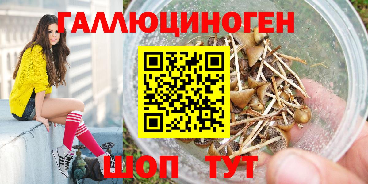 Галлюциногенные грибы GOLDEN TEACHER  Псилоцибиновые грибы мицелий  Семилуки  Вход с VPN 